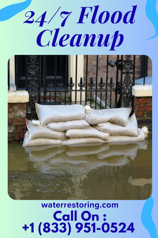 24/7 Flood Cleanup in Pleasant Plains, NJ