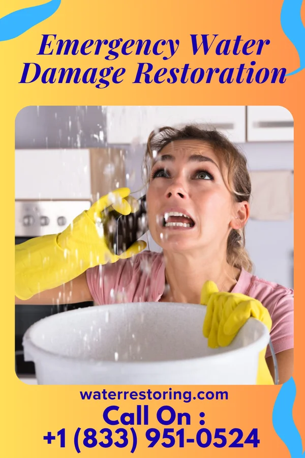 Emergency Water Damage Restoration in Pleasant Plains, NJ