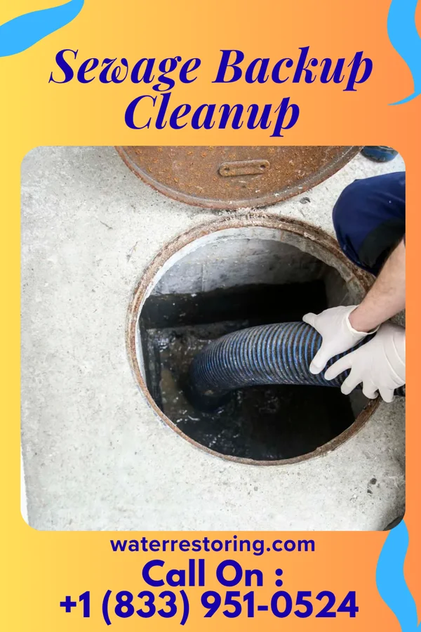 Sewage Backup Cleanup in Pleasant Plains, NJ