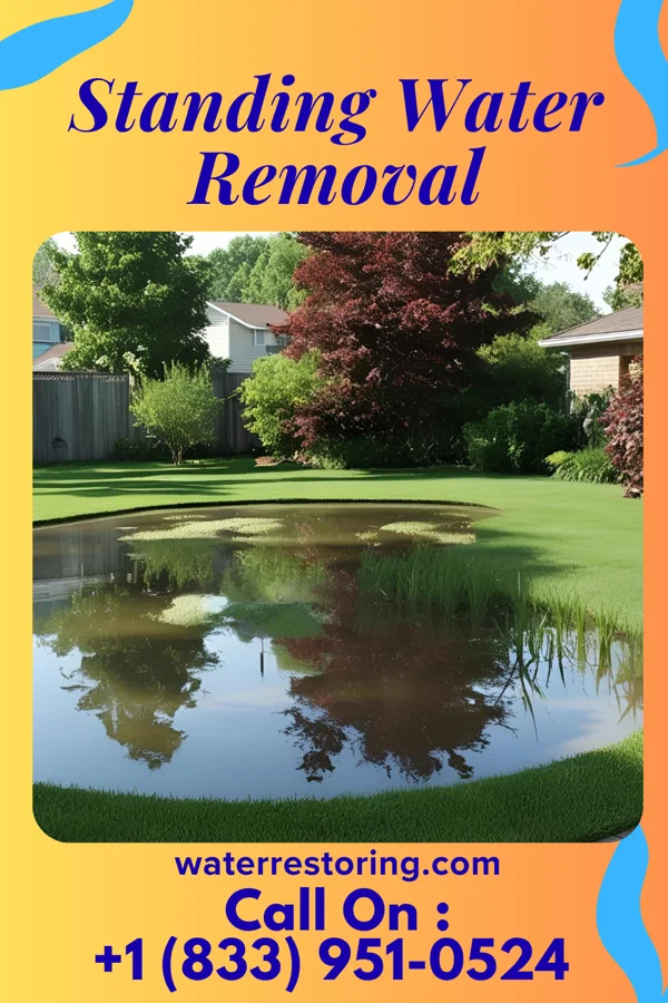 Standing Water Removal in Pleasant Plains, NJ